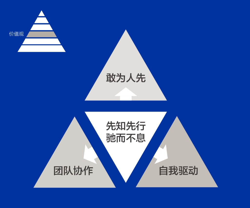 双林人的DNA——价值观